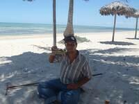 3 - 7gNPt - ridell the cabana boy