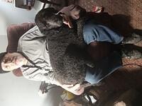 IMG 20250308 194252 318 LL