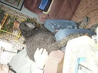 IMG 20250308 195003 049 LL